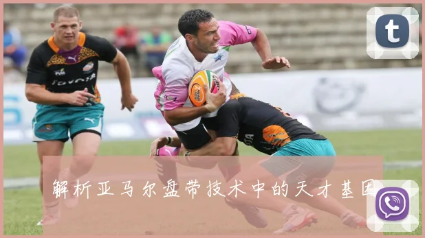解析亚马尔盘带技术中的天才基因